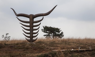 Kunstwerk Ode aan de wildernis