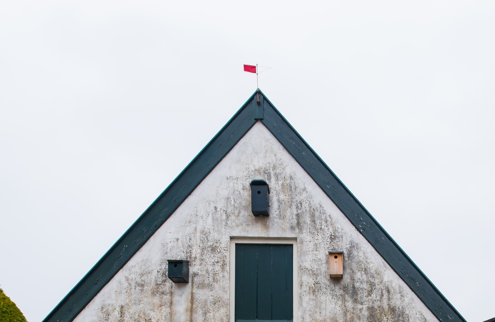 Schuur – 2016
