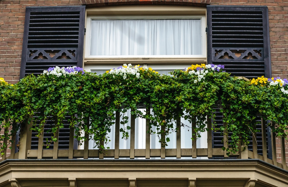 Detail balkon 2016