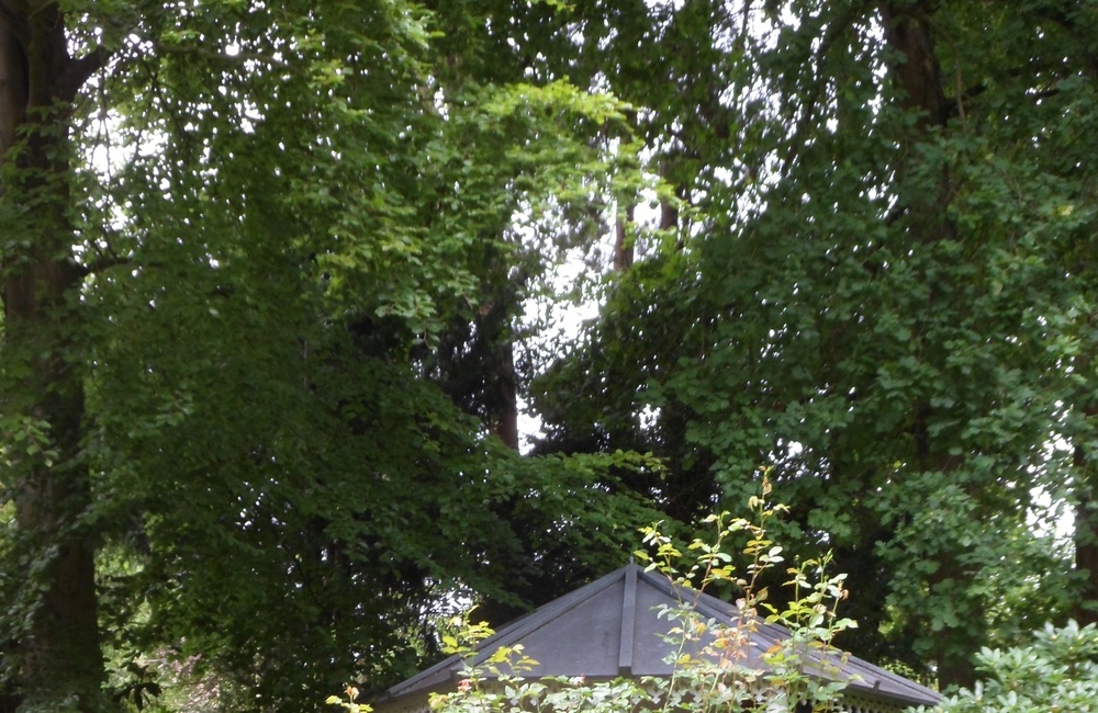 Tuinhuisje bij Het Spijker 2020