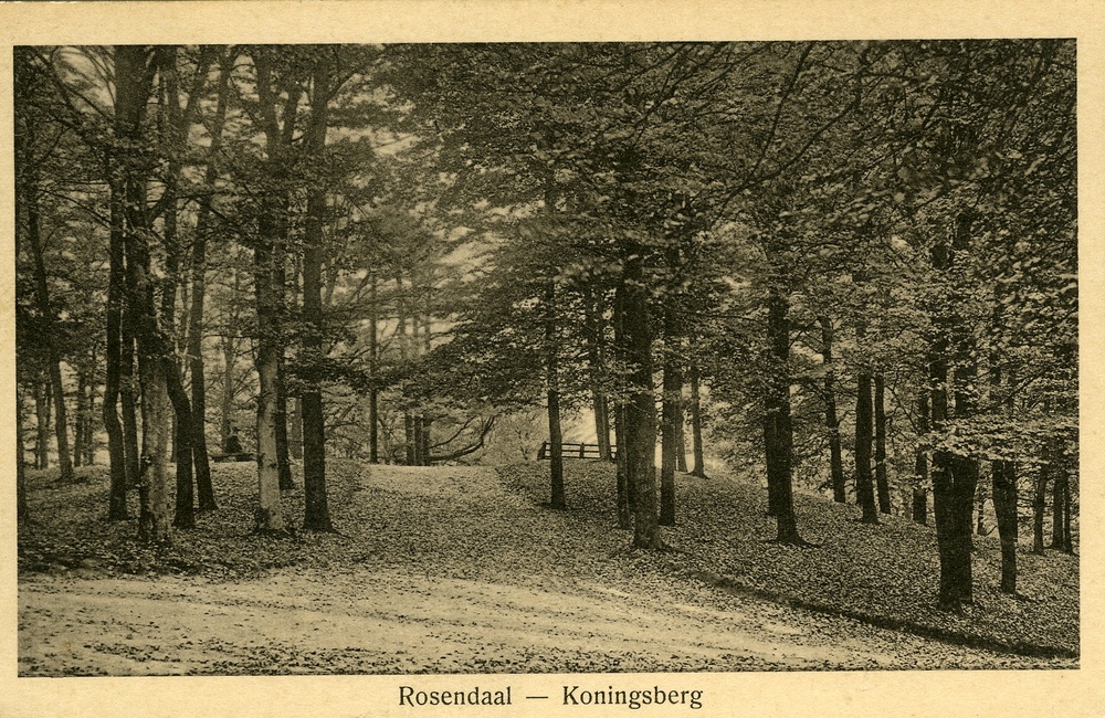 Ansicht Koningsberg ca 1910