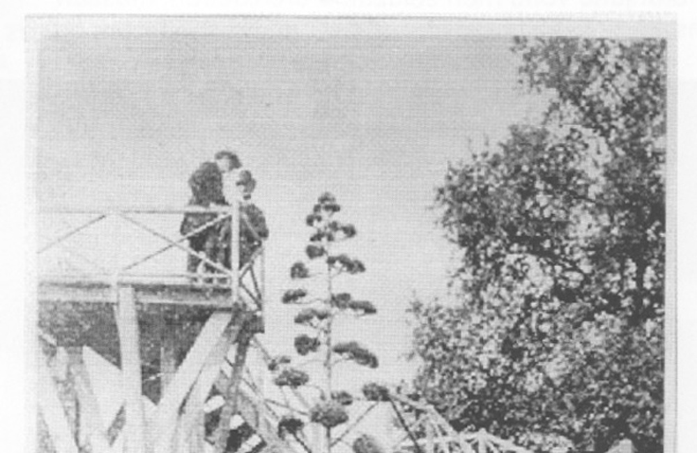 Agave op Daalhuizen -1886
