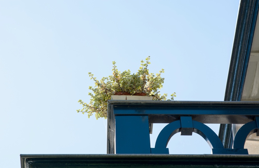 Balkon hekwerk met ovale details - 2016