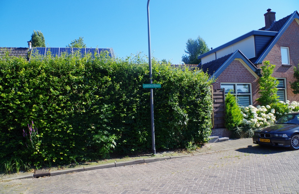 Looierstraat