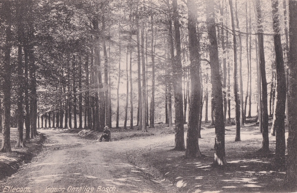 Het Onzalige Bos - 1920