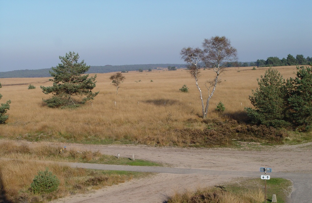 Worth Rheder heide - 2012