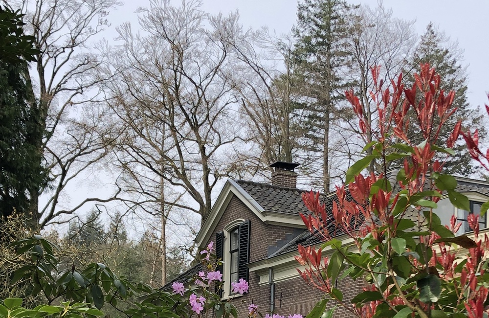 Straatzijde nr. 8-10 2026