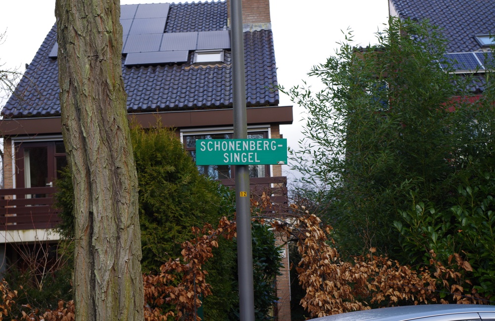 Schonenbergsingel