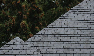 Detail dak