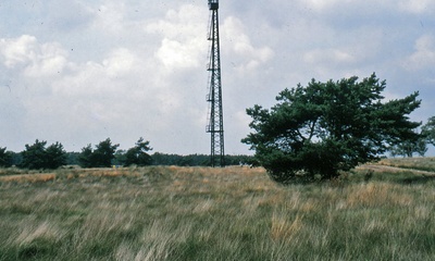 Rozendaalse Veld