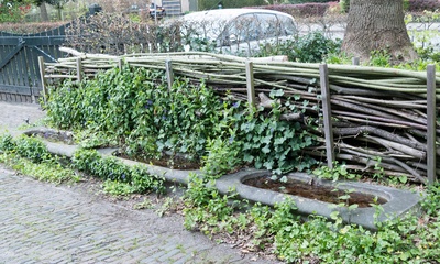 Detail tuin