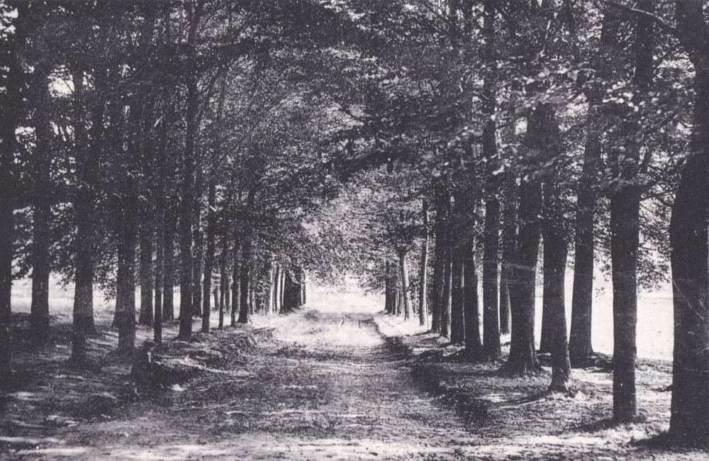 Hagenau - 1920