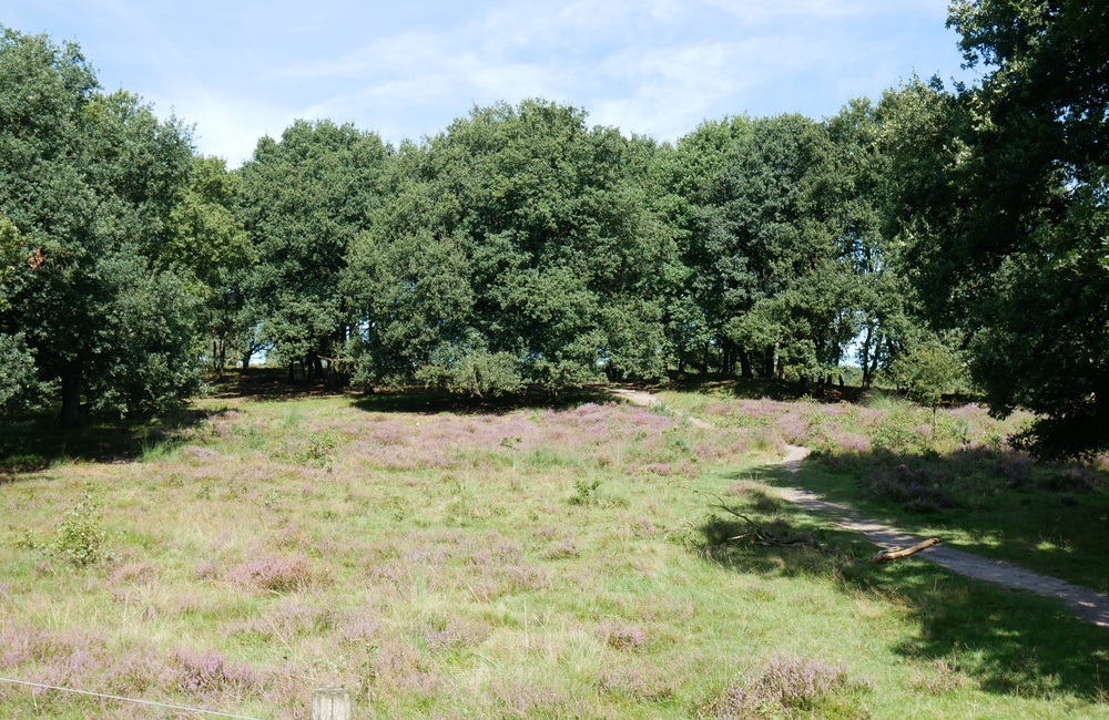 Potjesberg - 2016