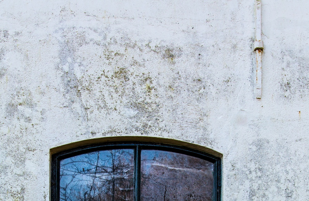 Detail schuur voormalig pension Gerbrandts - 2016