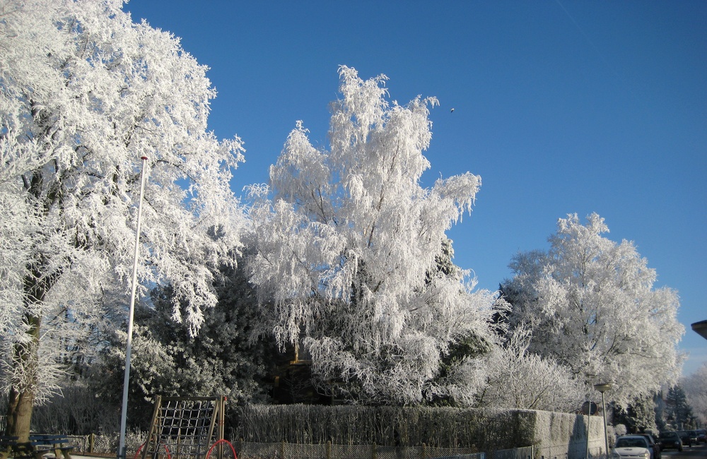 Park met sneeuw