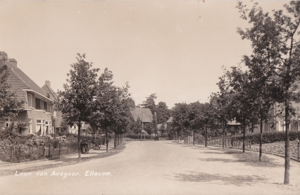 Laan van Avegoor vanaf beneden - 1936