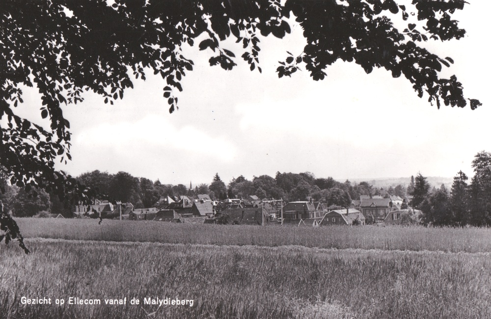 Panorama Ellecom vanaf de Mylady"sberg - 1969