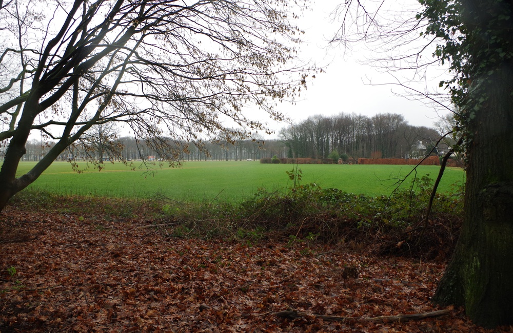Biljoen tuin en park