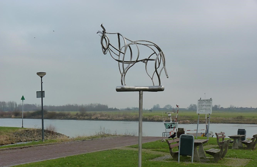 Schotse Hooglander bij de veerpont over de IJssel