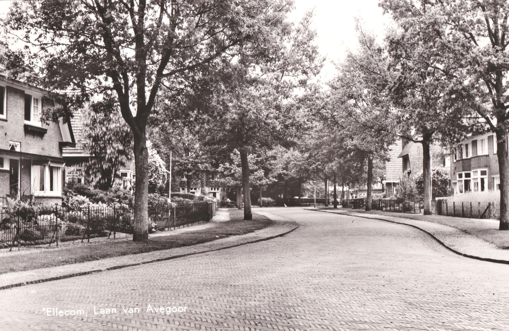 Laan van Avegoor genomen vanaf de Kamplaan naar boven gericht - 1964