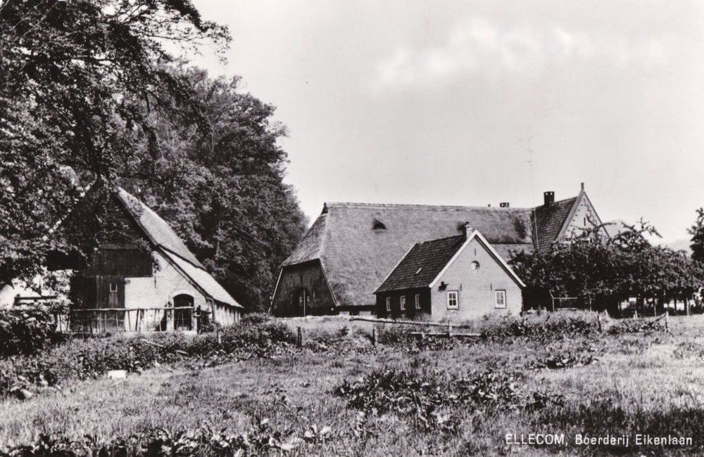 De Eikenstraat met boerderij Borgh Keppel - 1964