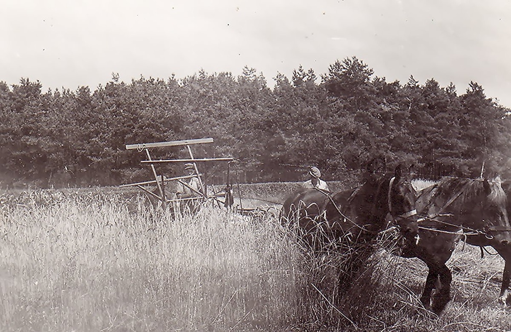 Boerderij "t Veentje, Harderwijkerweg 87. B.J. Braakman op het land.