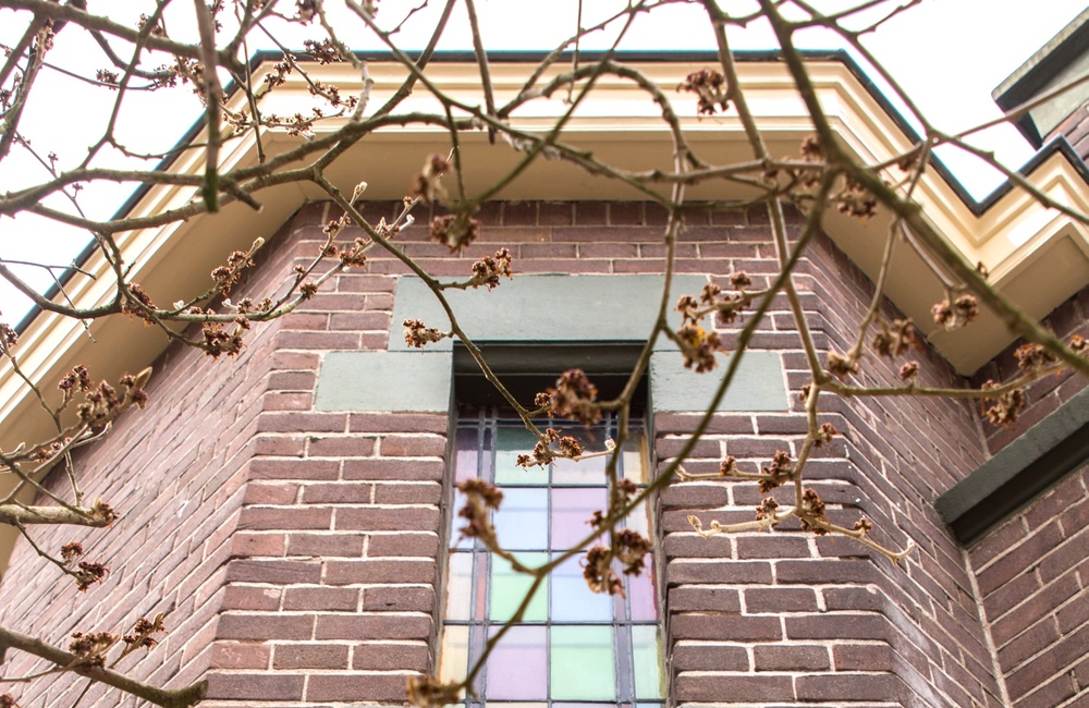 Detail Apis - 2016