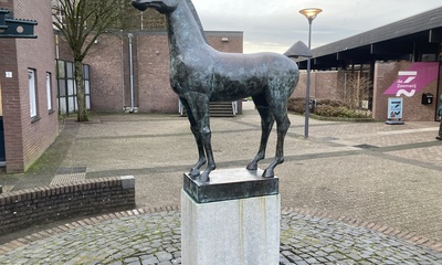 Paard Ericaplein Dieren