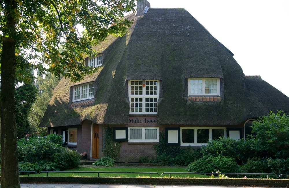Vrijstaand woonhuis met rietendak (20121)