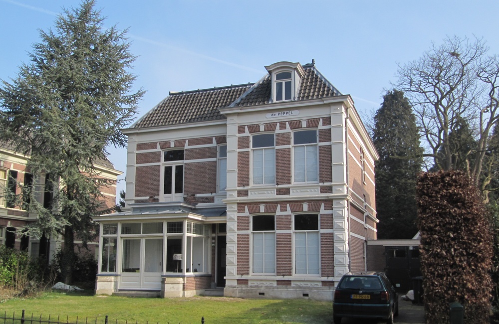 De Peppel, Hoflaan 28 (2011)