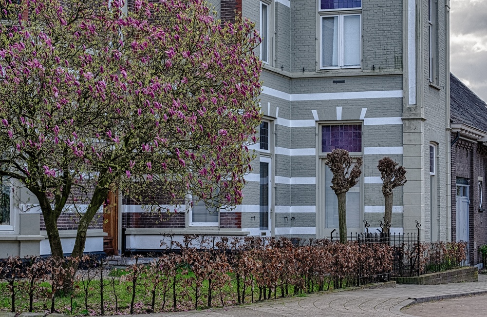 Detail voorgevel Villa Schoonoord - 2016
