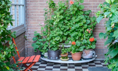 Detail ingangsportiek