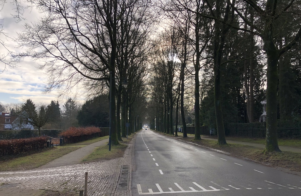Rosendaalselaan richting Velp 2026