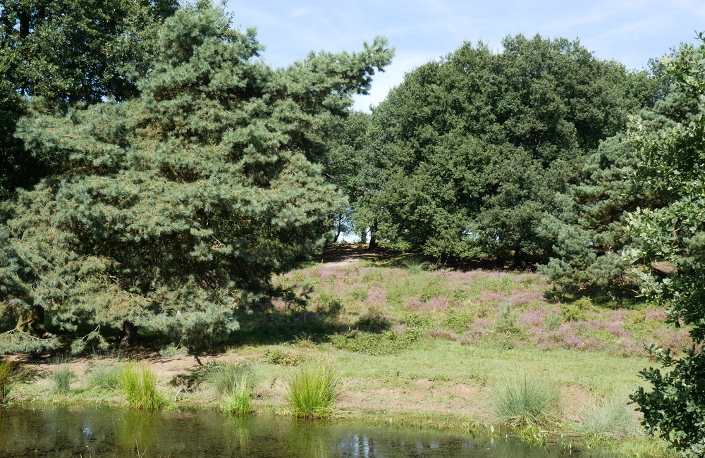 Potjesberg - 2016