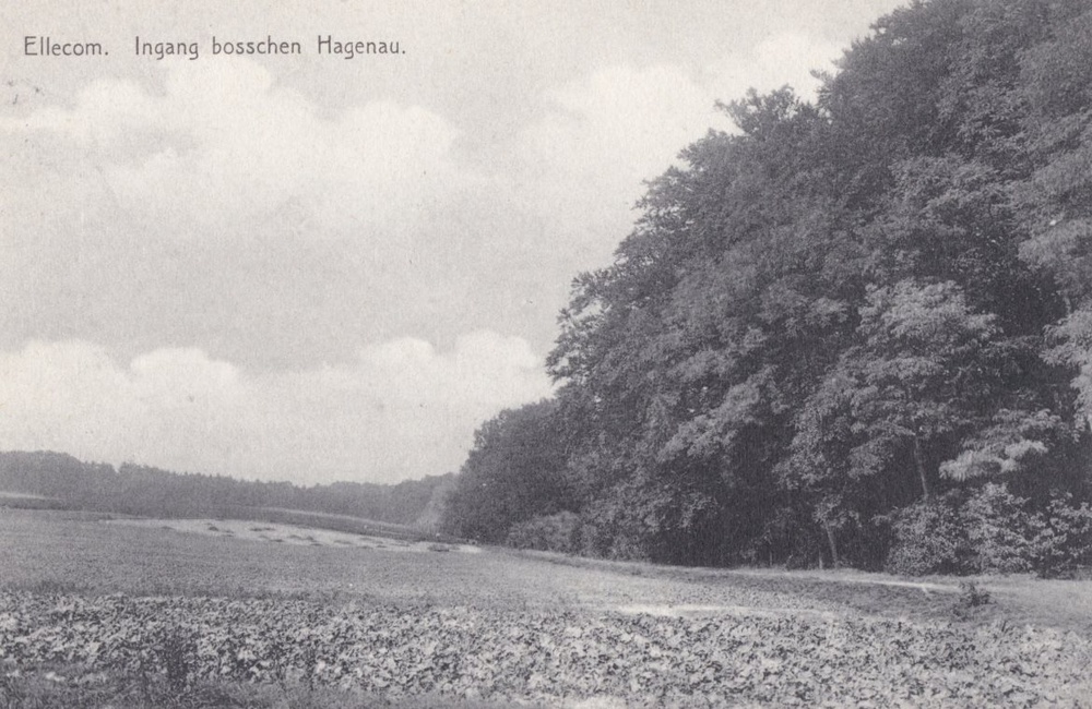 Hagenau - 1939