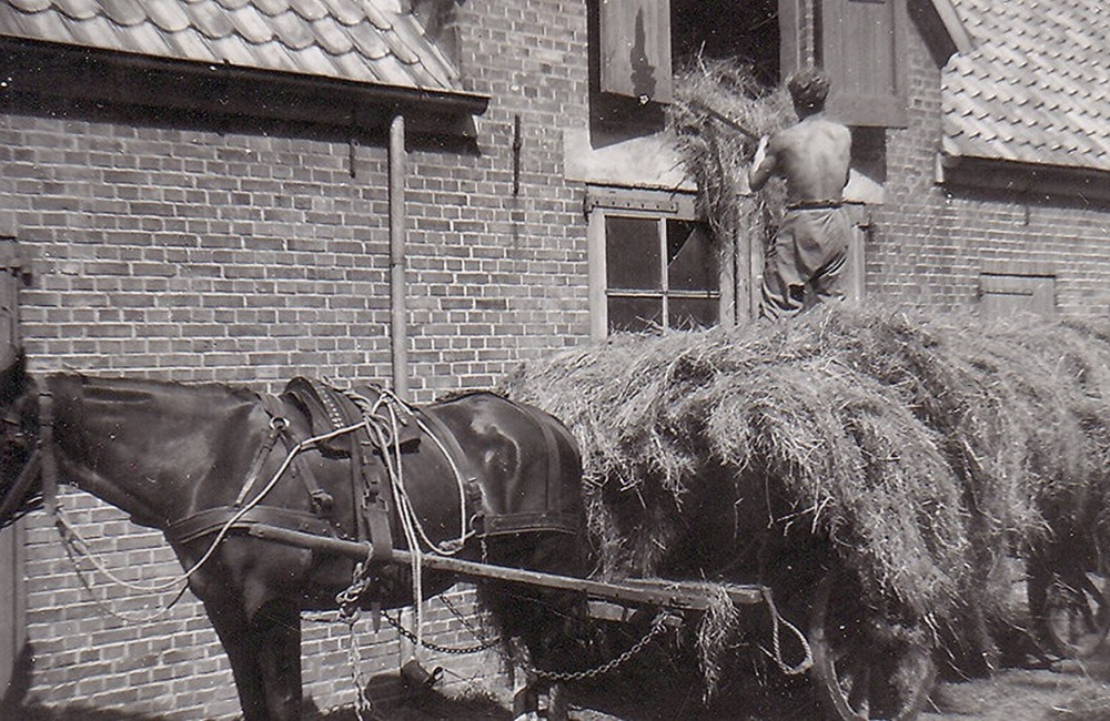 Boerderij "t Veentje, Harderwijkerweg 87. B.J. Braakman aan het werk.