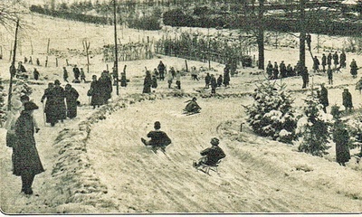 Rodelbaan Pinkenberg
