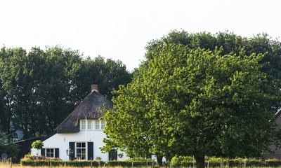 Boerderij