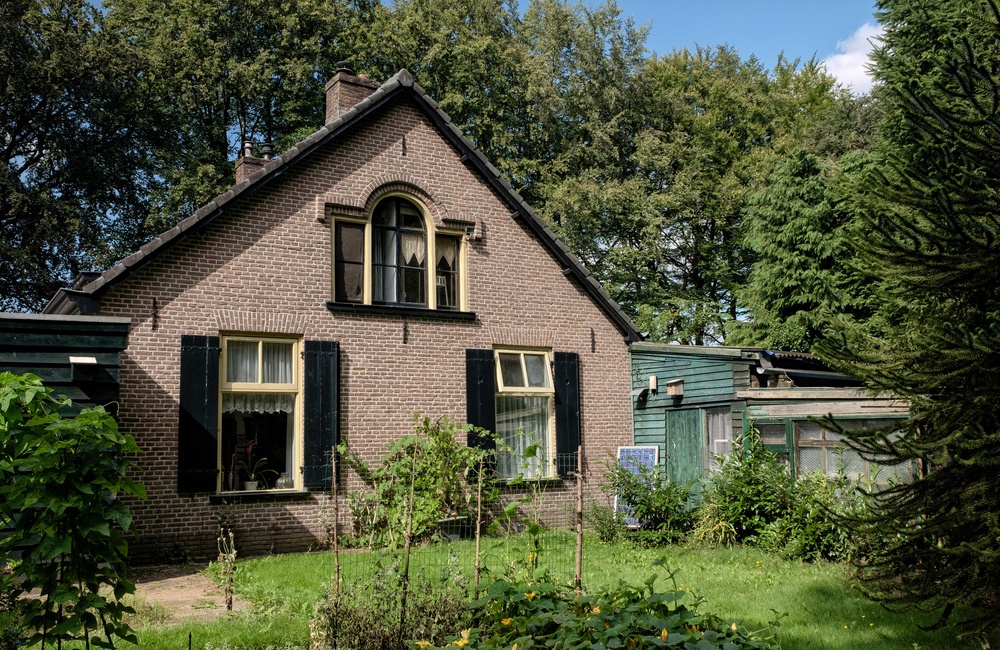 Achterzijde - 2016