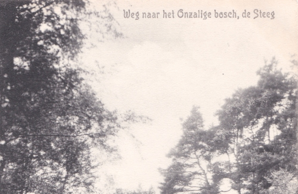 Het Onzalige Bos - 1932