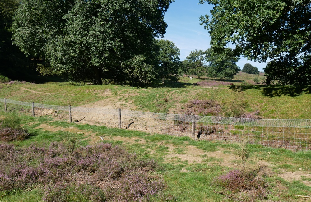 Waterkering Heuven, zuidelijke dam - 2016