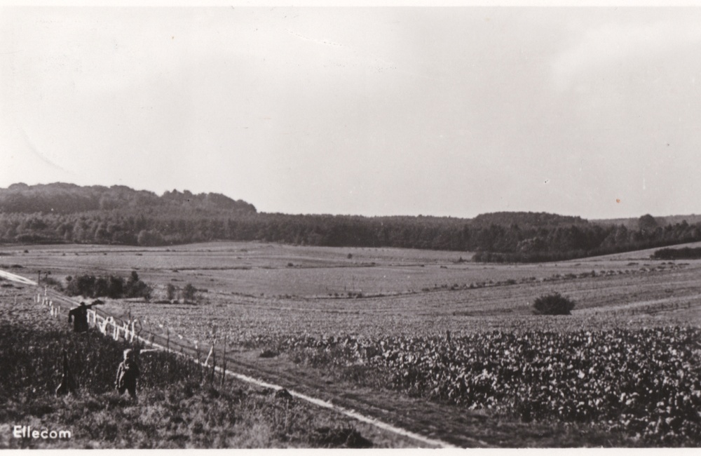 Lappendeken - 1947