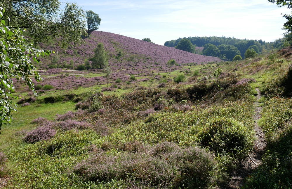 Waterkering Heuven - 2016