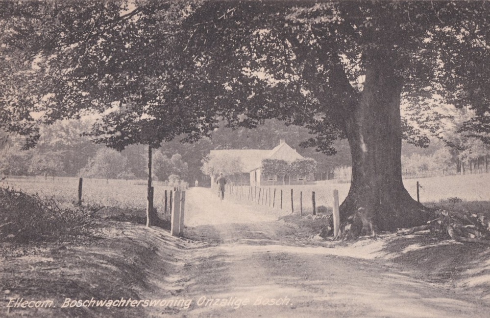 De Haverkist 1909