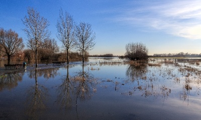 Gezicht op de IJssel
