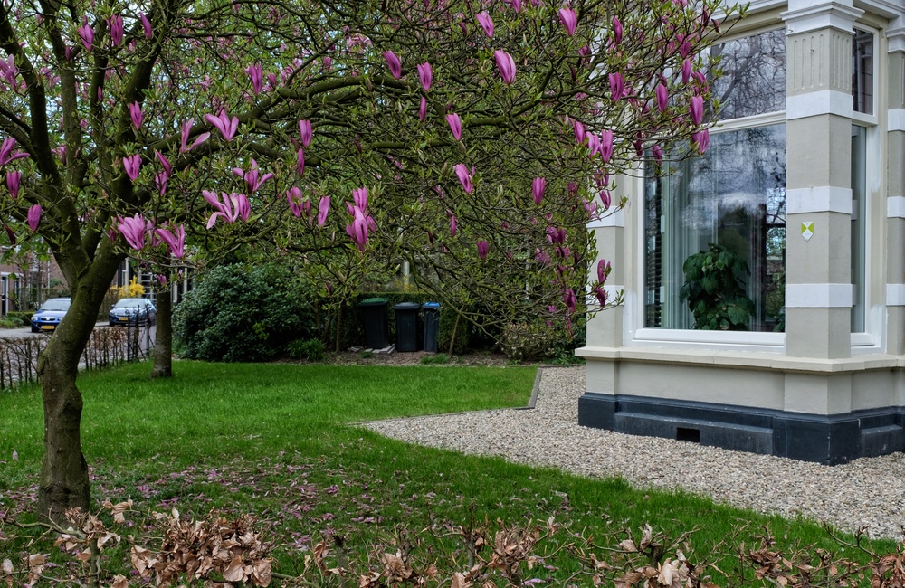 Detail erker Villa Schoonoord - 2016