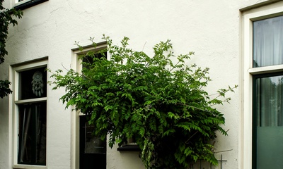 Detail pand