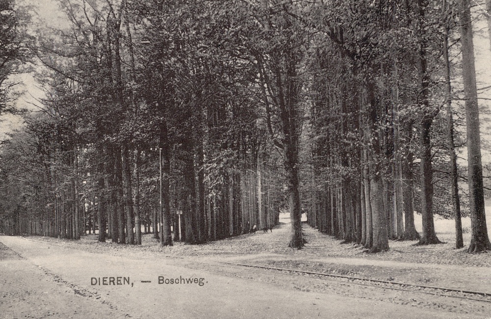 Schuine Laan, later Boschweg genoemd - 1928