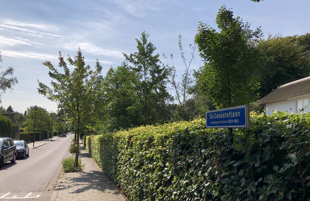 Aan de noordkant van de De Genestetlaan