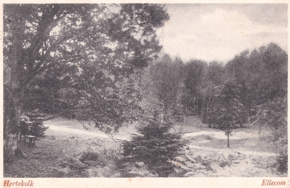 Hertenkom 1926